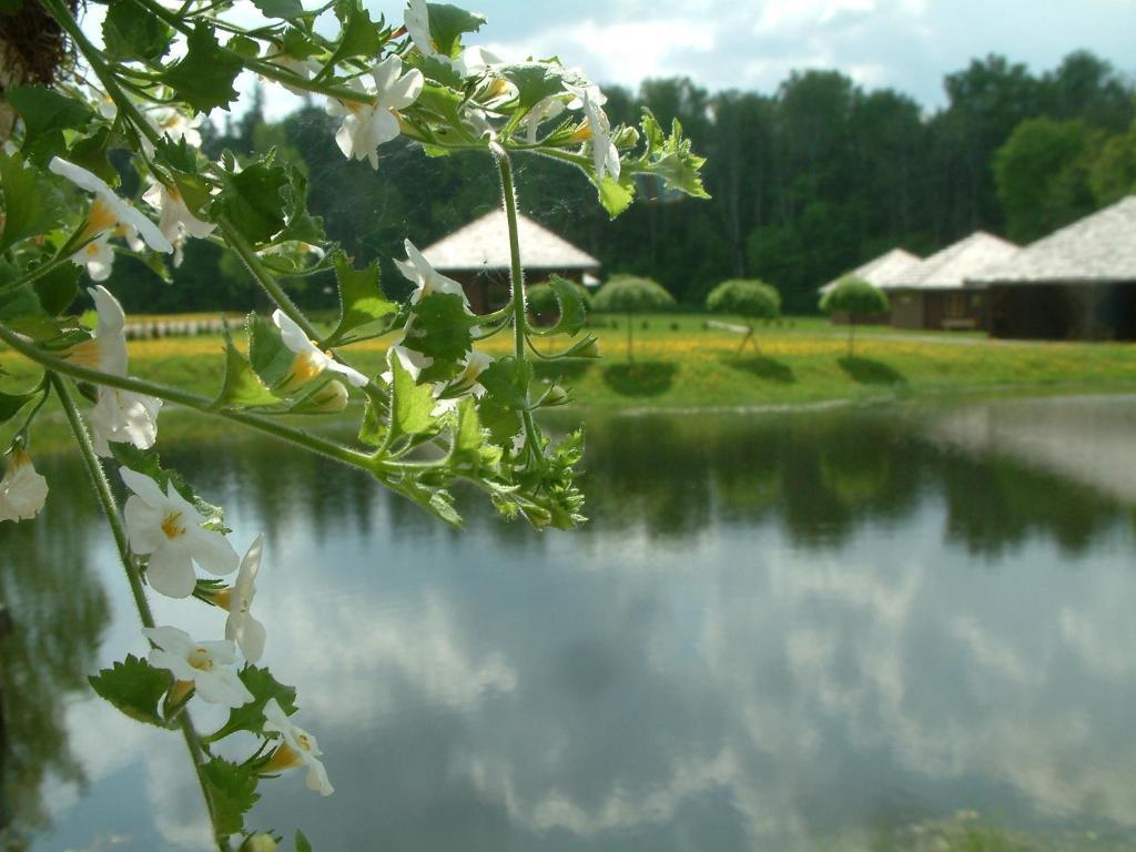 Recreation Center Bruveri Sigulda Pokój zdjęcie